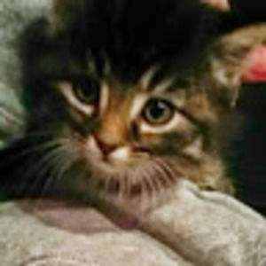 Meet your Posher, Erika